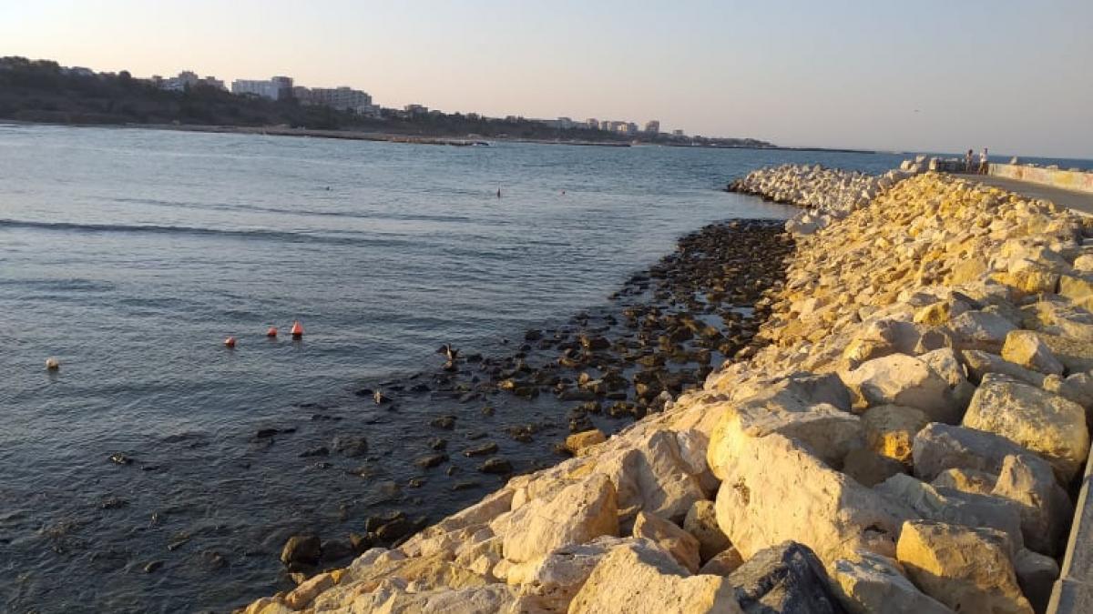 descoperire uluitoare facuta de un scafandru din constanta in marea neagra e o raritate