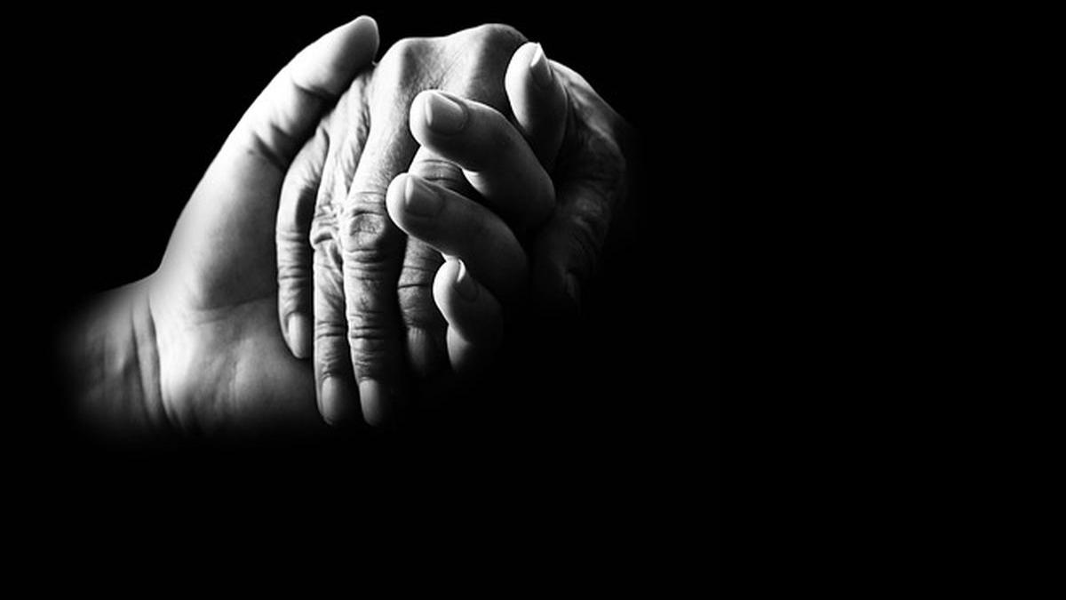 povestea familiilor care au condus lumea borgia si medici