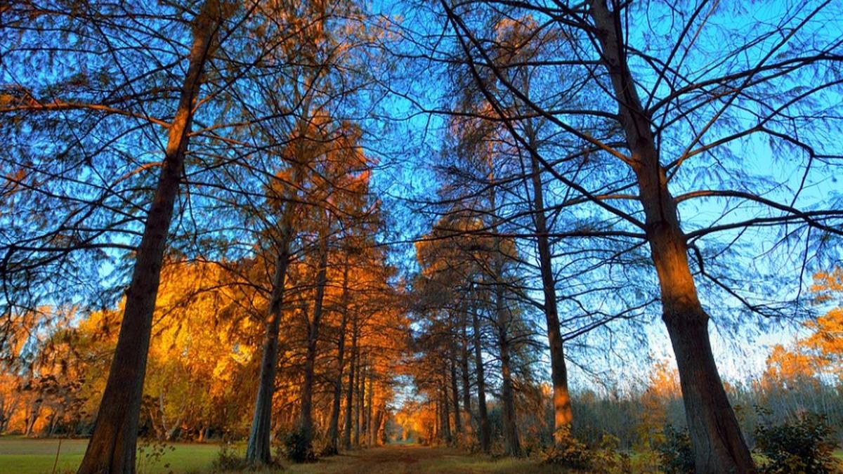 vremea se schimba iar cand cresc temperaturile