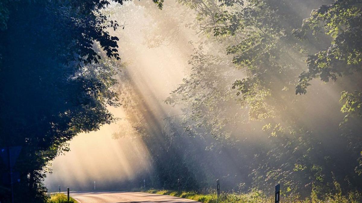 alarmant 2015 2019 cea mai calduroasa perioada de cinci ani din istoria inregistrarilor