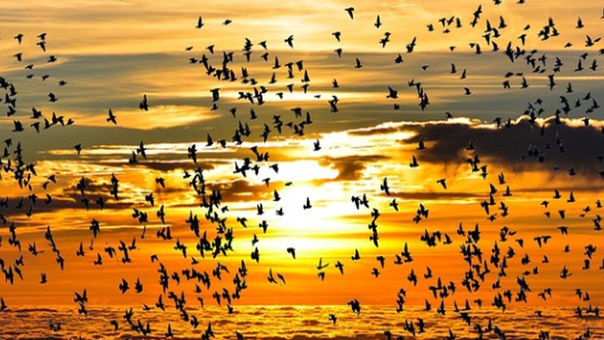 saptamana incepe cu surprize de la meteo cum va fi vremea luni si marti