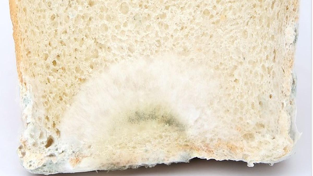 este ancheta in scolile din valcea elevii au primit cornuri mucegaite