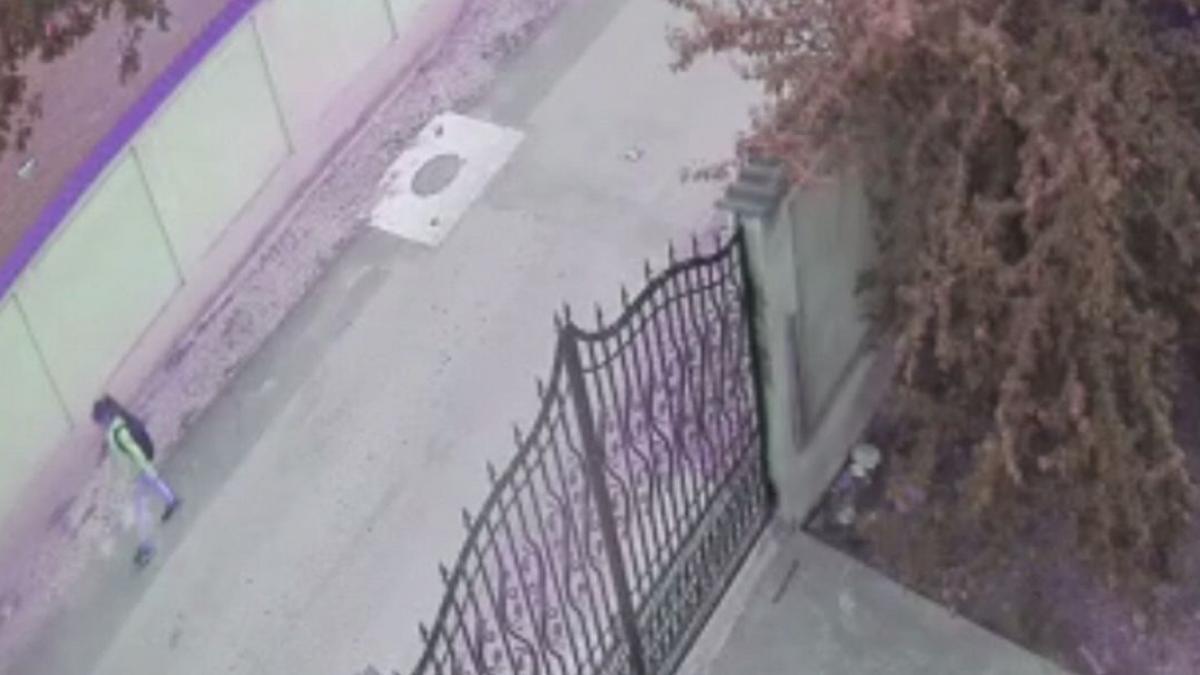 noi imagini cu adriana in viata fetita ucisa din dambovita ce au surprins camerele de supraveghere