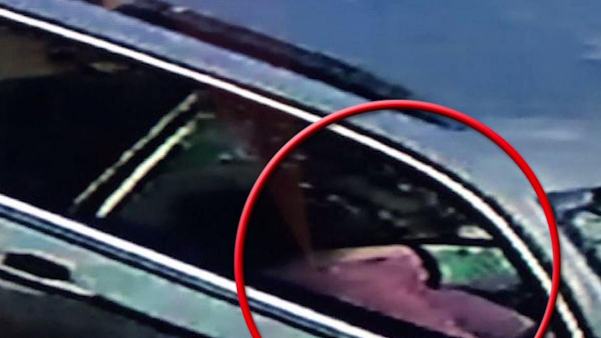 primele imagini cu copila ucisa din dambovita in masina olandezului principalul suspect de