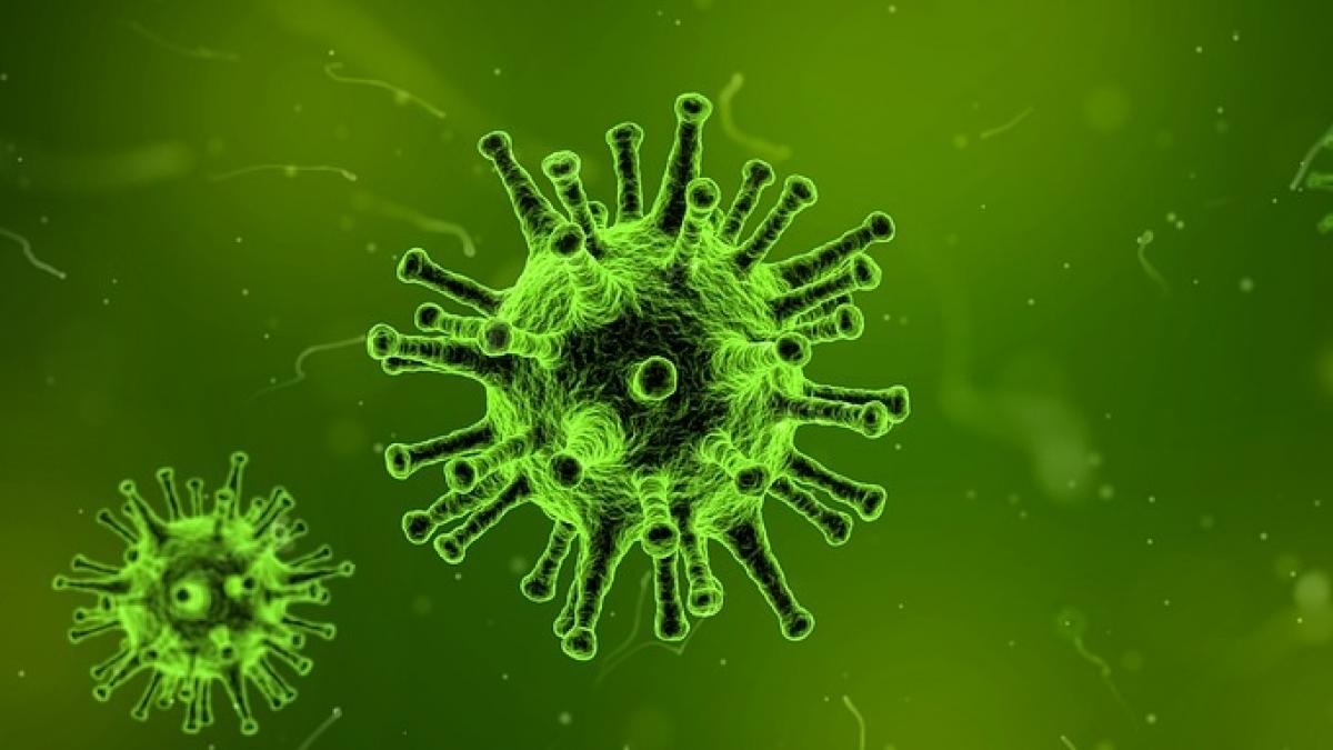 incredibil cum apare boala ficatului gras la persoane care nu consuma alcool