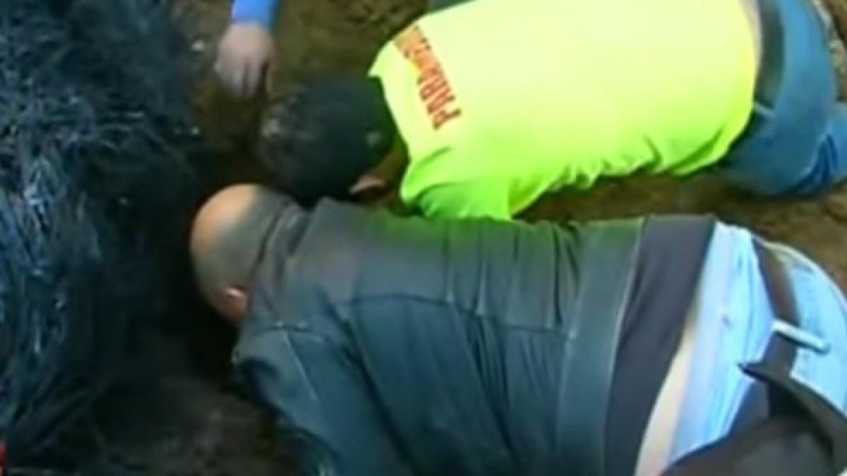 pompierii chemati sa stinga un incendiu de padure au avut parte de surpriza vietii lor gest