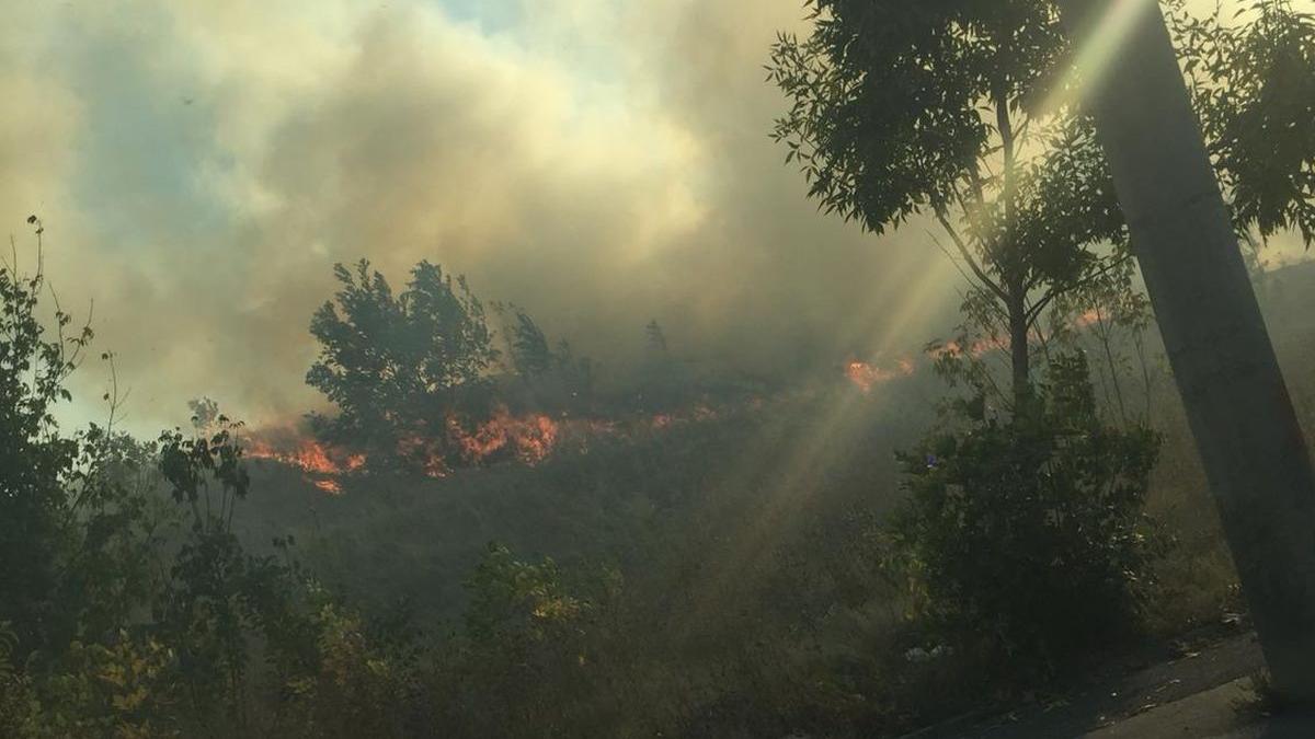 incendiul de vegetatie din bucuresti a fost stins s a reluat traficul pe splaiul unirii