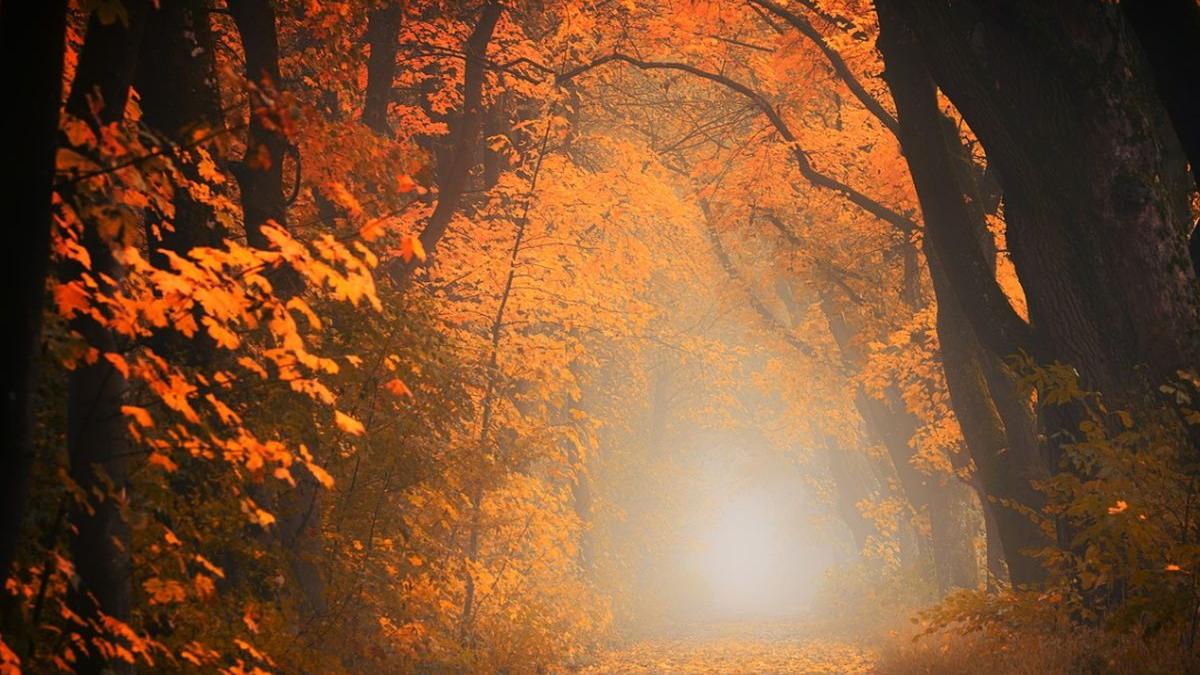 prognoza meteo vremea va continua sa se incalzeasca si va fi calda