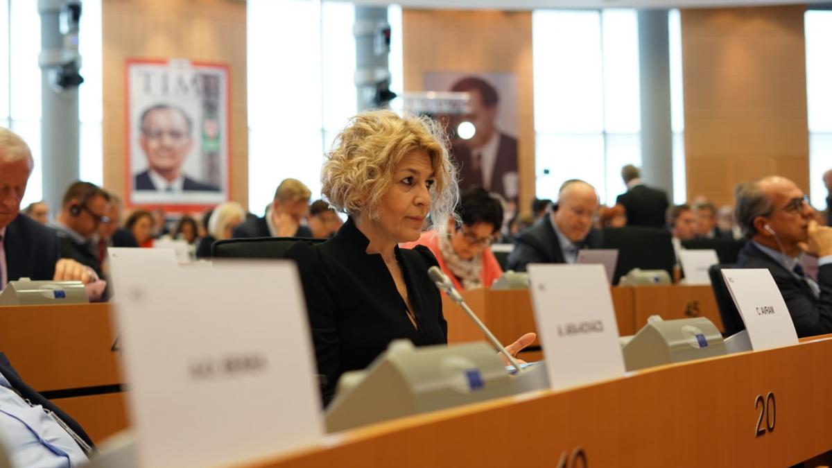 carmen avram europarlamentar psd apreciata de jurnalistii financial times pentru prestatia din