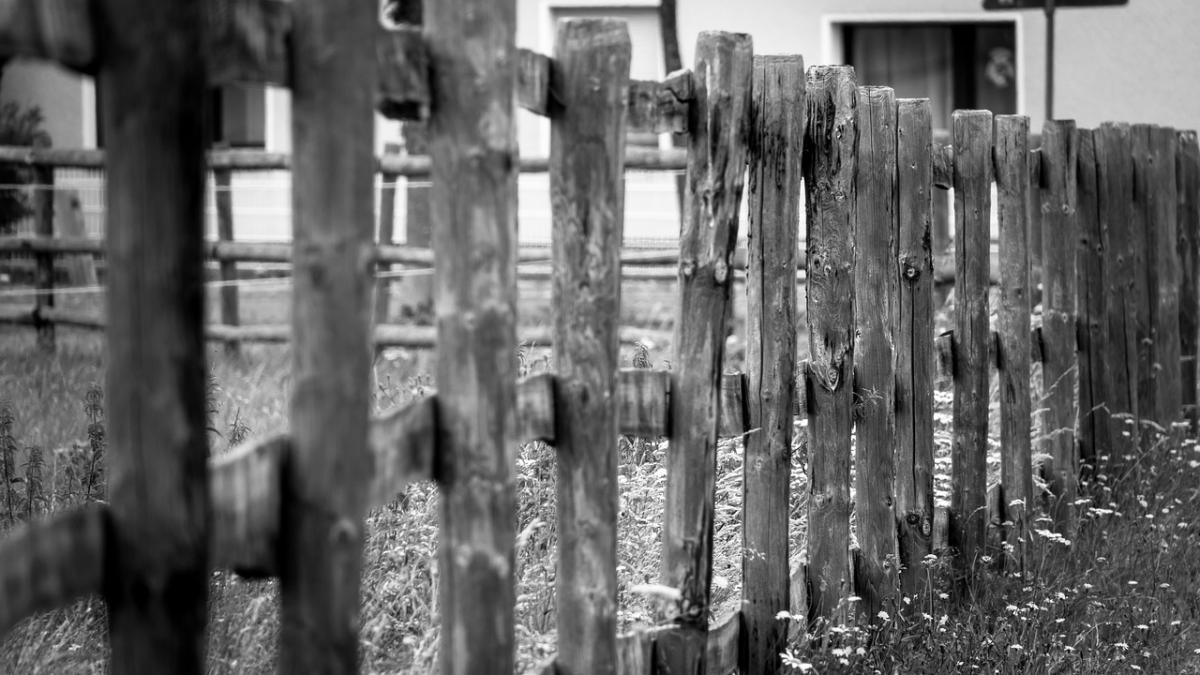 descoperire macabra in constanta de o saptamana miroase dar nu ne am uitat