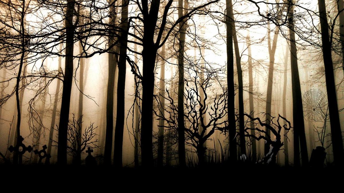 imagini de groaza la ingroparea mortilor de la spitalul de neuro din brasov