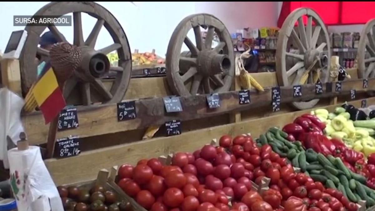 magazinele de cartier unite sub acelasi brand