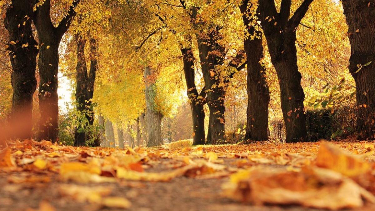 directorul anm vorbeste despre temperaturi de vara in zilele urmatoare incepand de maine valorile