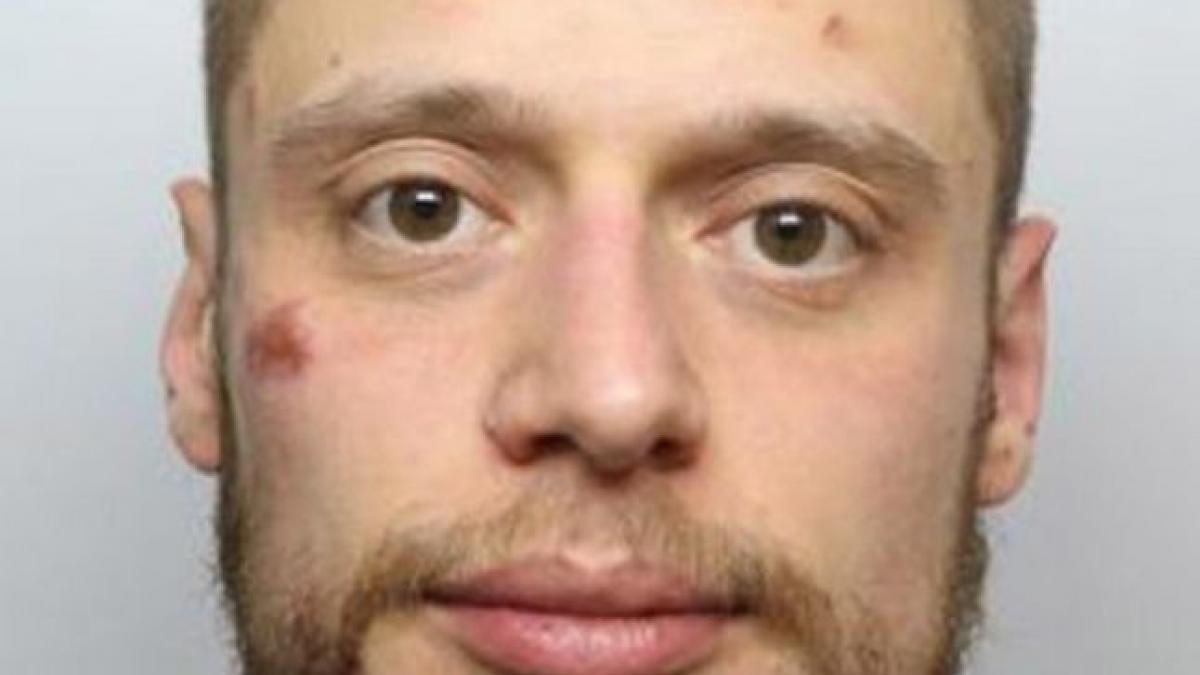 la 30 de ani luca avea probleme nu doar cu drogurile ci si cu legea fiul unei doctorite din oradea