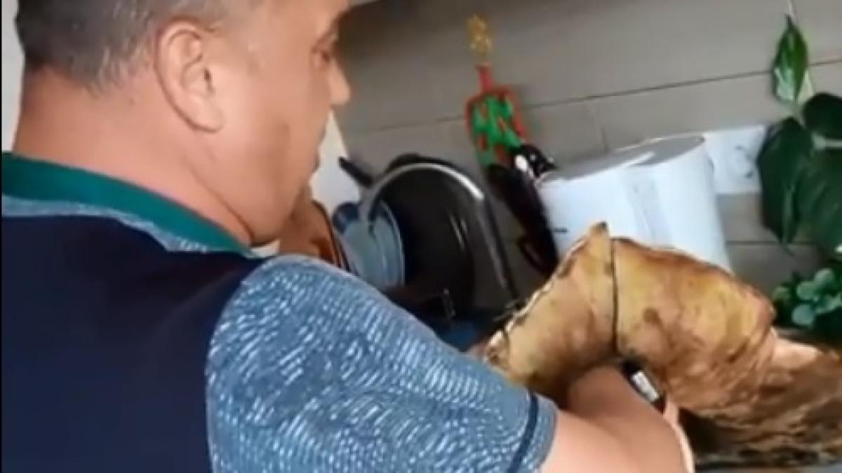 un brasovean a facut descoperirea vietii in apropiere de poiana brasov sunt uriasi si i a gatit deja