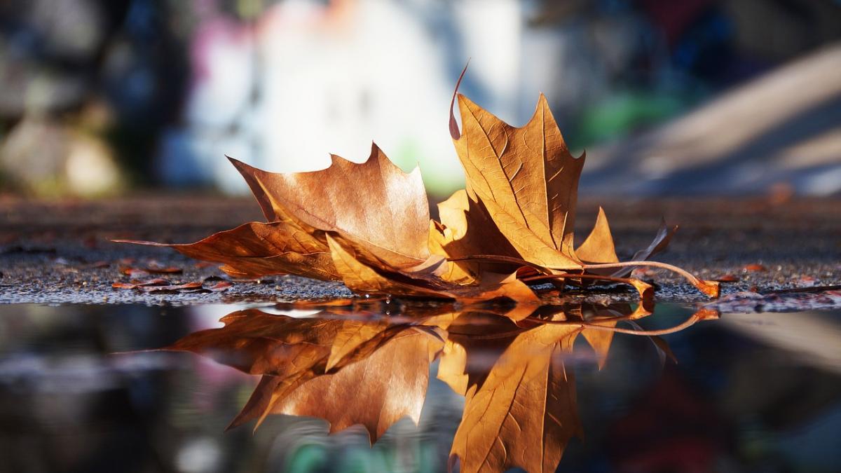 vremea prognoza meteo pentru 10 octombrie o veste neasteptata de la meteorologi