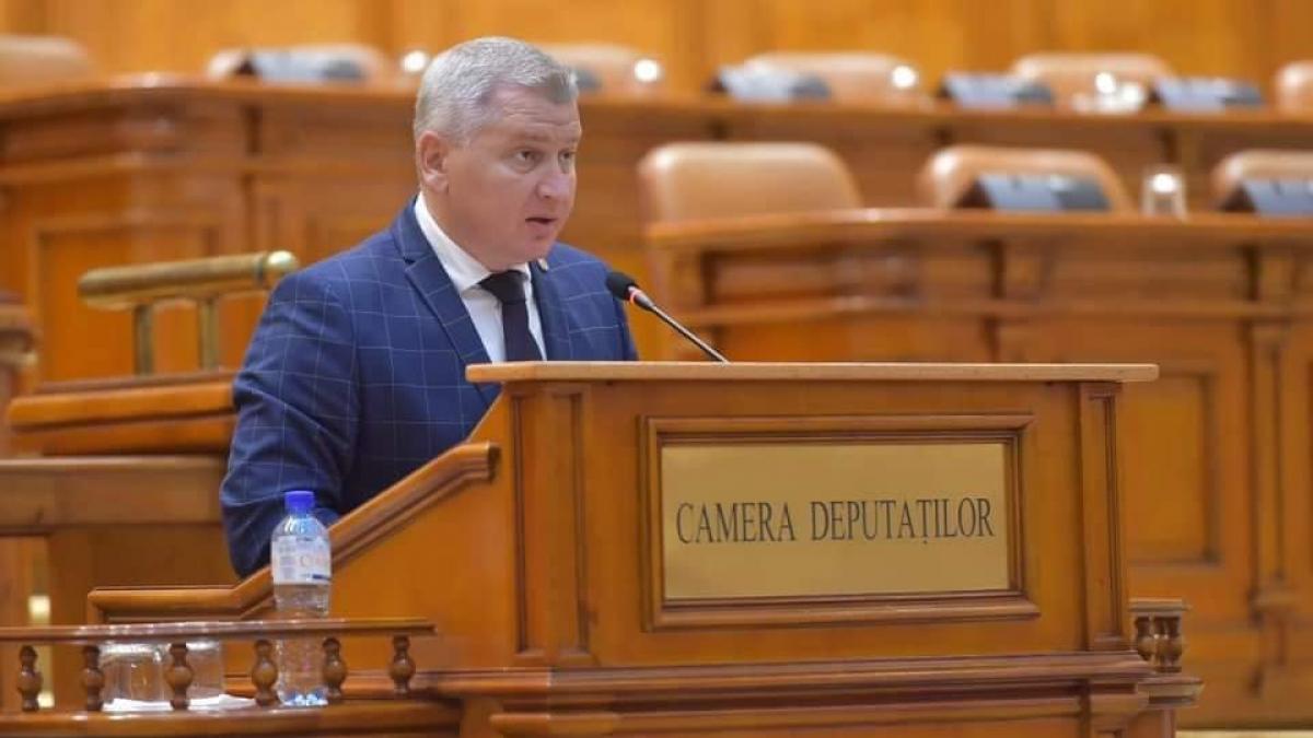 un deputat pnl acuza retrageti trupele de jandarmi din parlament