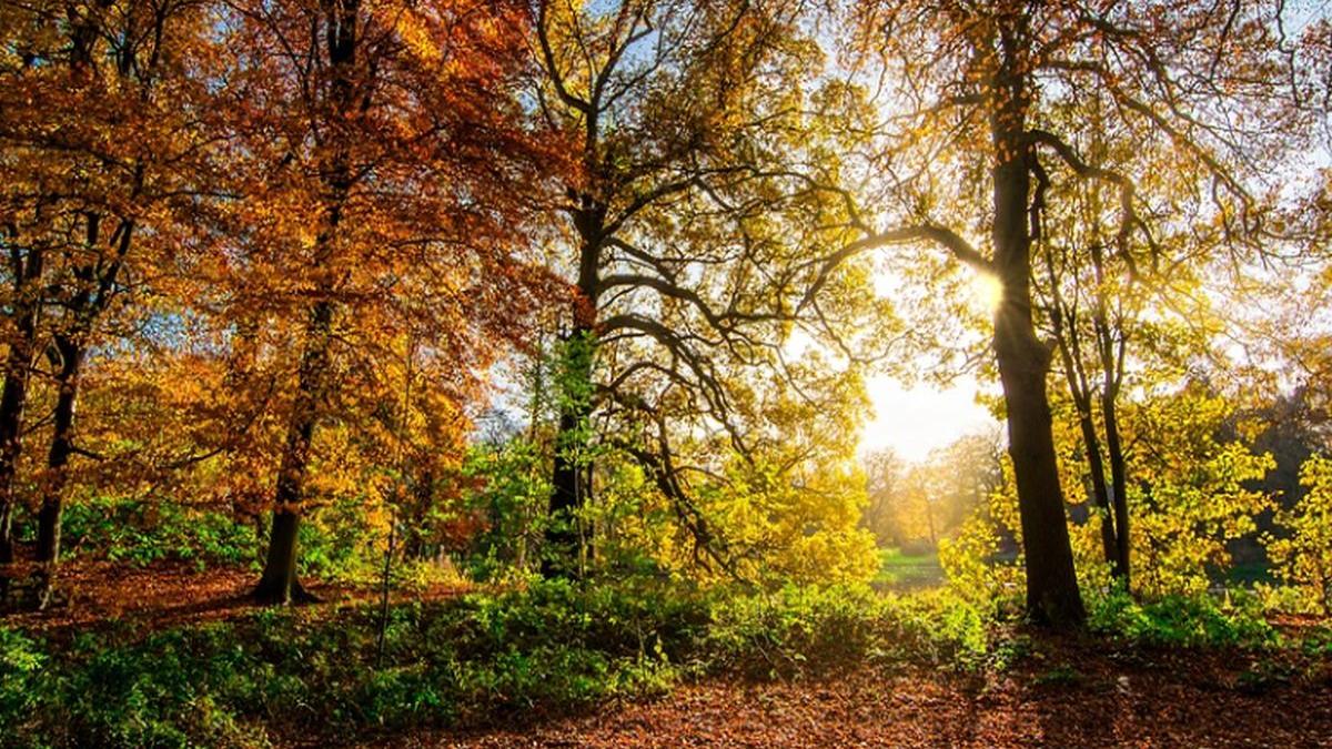 vreme frumoasa in toata tara prognoza meteo pentru weekend