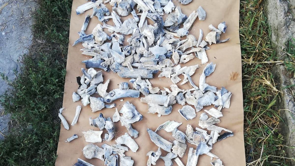 medici de la inml audiati in dosarul de la caracal li se cer explicatii tehnice privind expertizele