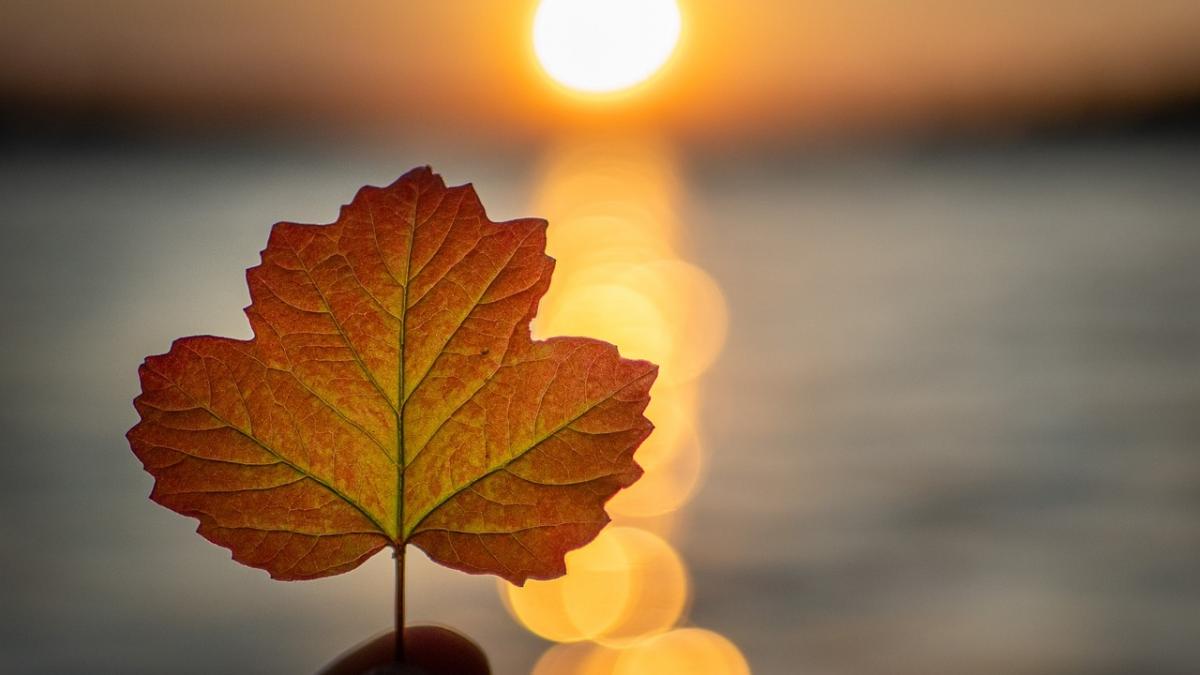 vremea in urmatoarele doua saptamani temperaturile vor urca pana la 26 de grade