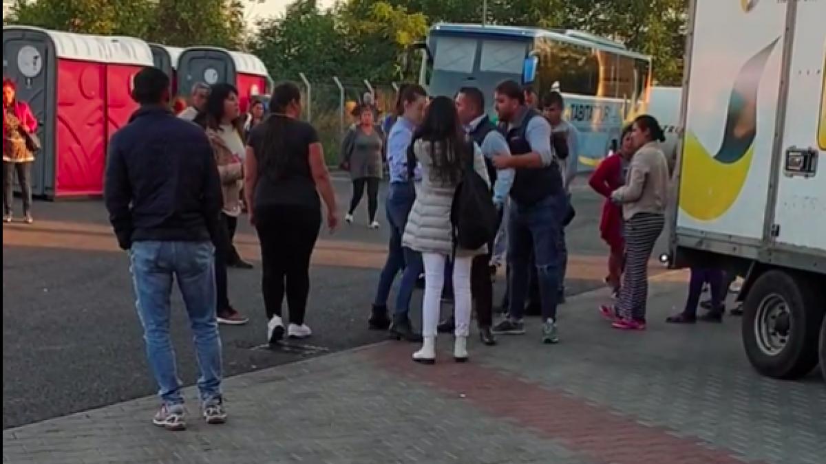 mihaela se intorsese recent din spania si era in autogara in arad cand a vazut o femeie si un