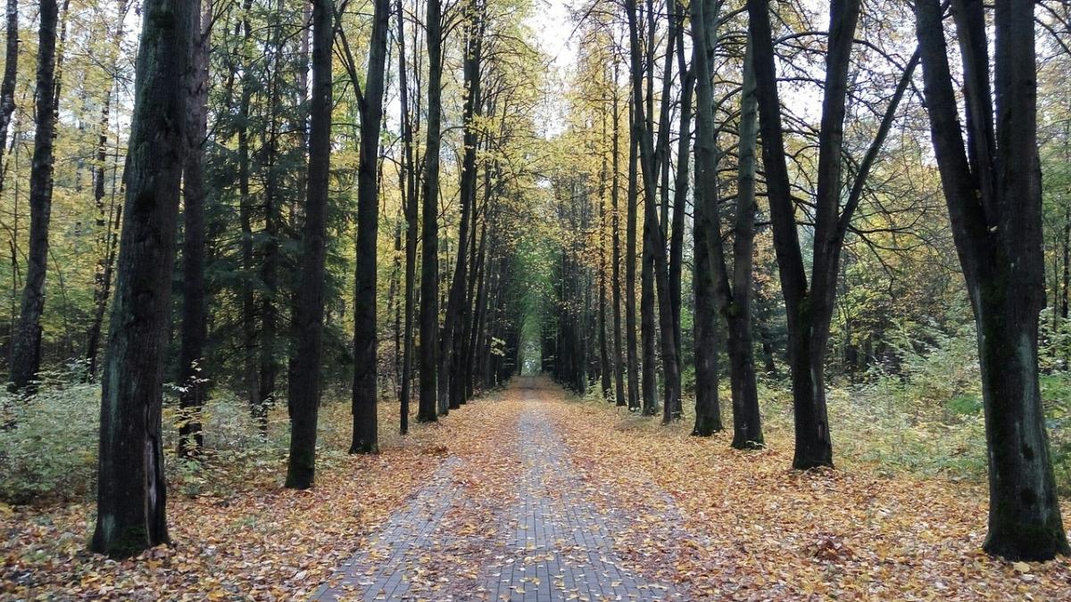 temperaturi de 27 de grade celsius anm precizari de ultima ora