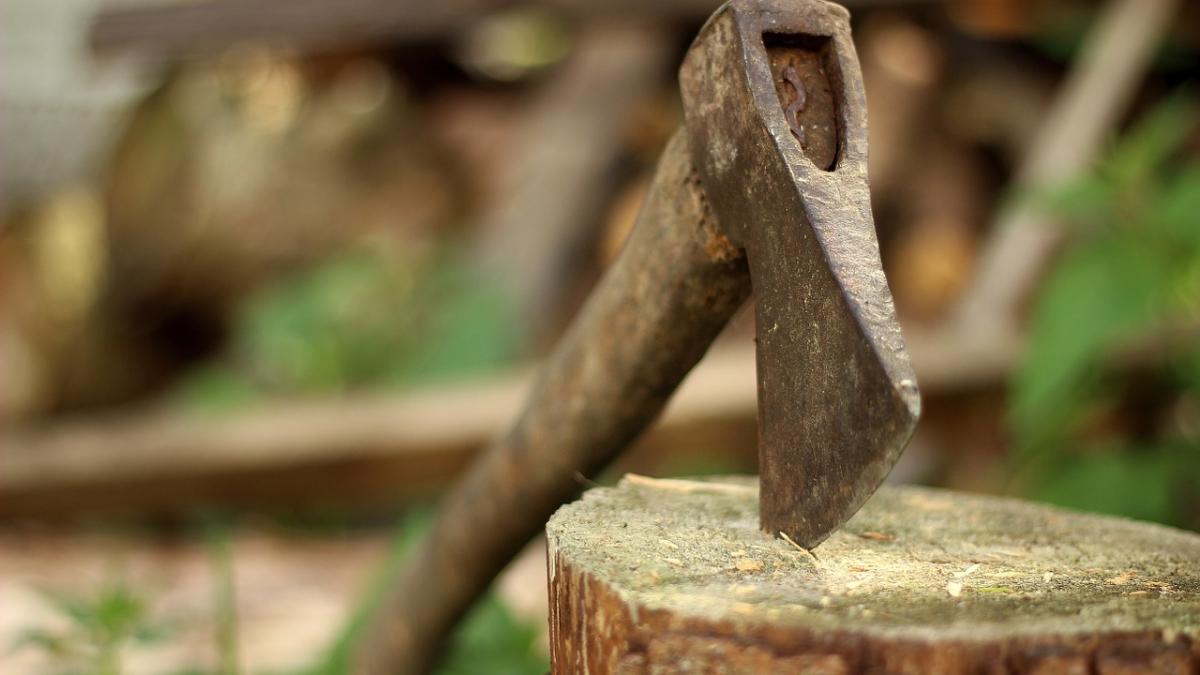 al doilea padurar ucis in romania in decurs de o luna sindicatele cer legi care sa i protejeze