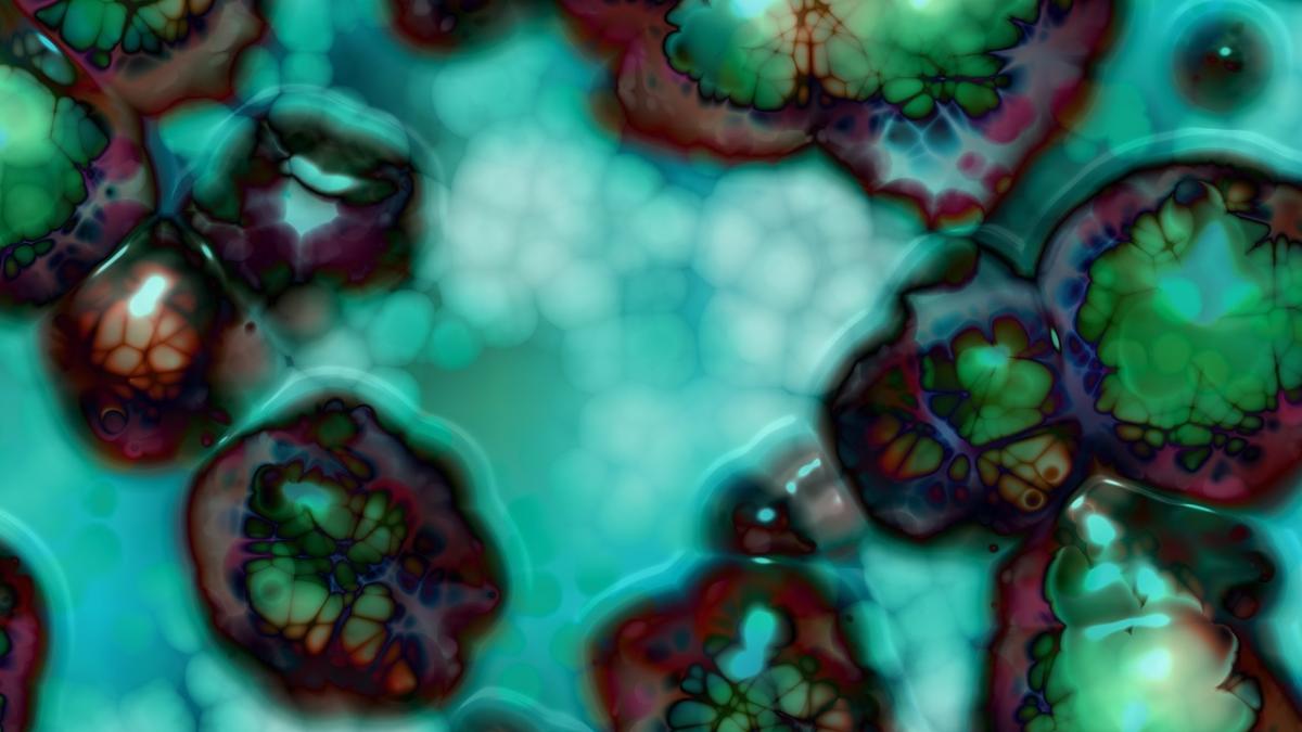 un organism misterios fara creier fara gura stomac sau ochi a fost dezvaluit de gradina zoologica