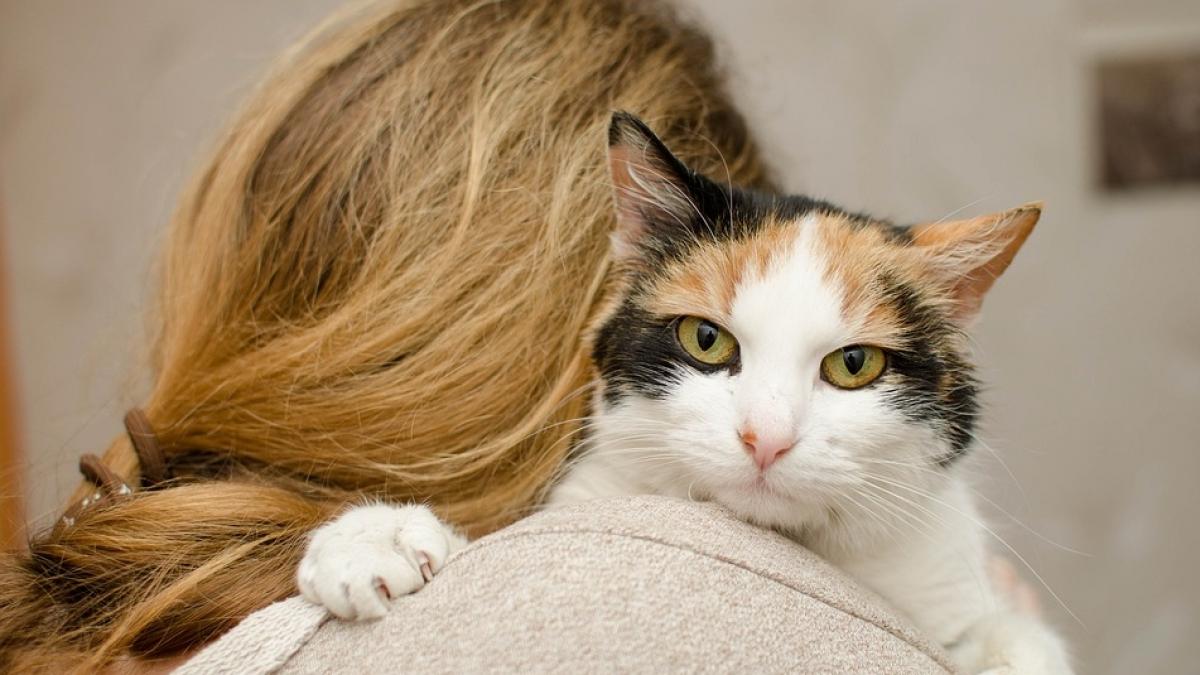 o femeie din rusia si a usis si transat colegul de apartament il banuia ca i ar fi ucis pisica