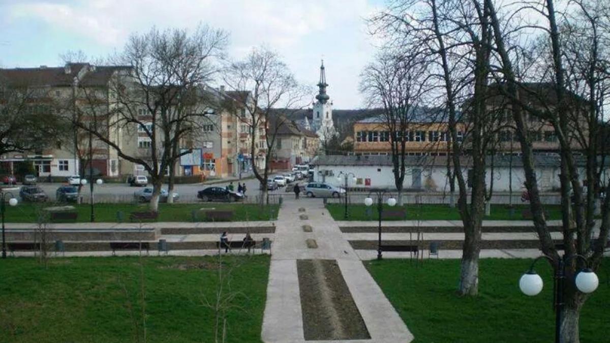 oamenii dintr un oras din judetul arad s au trezit peste noapte invadati erau peste tot sunt