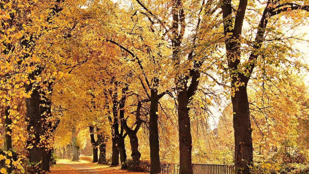 vremea va ramane deosebit de calda prognoza meteo pana vineri