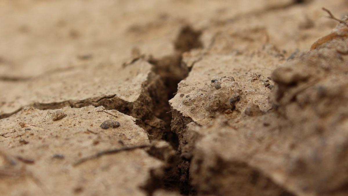 dezastru pentru romania din cauza secetei doua rauri au disparut de pe harta