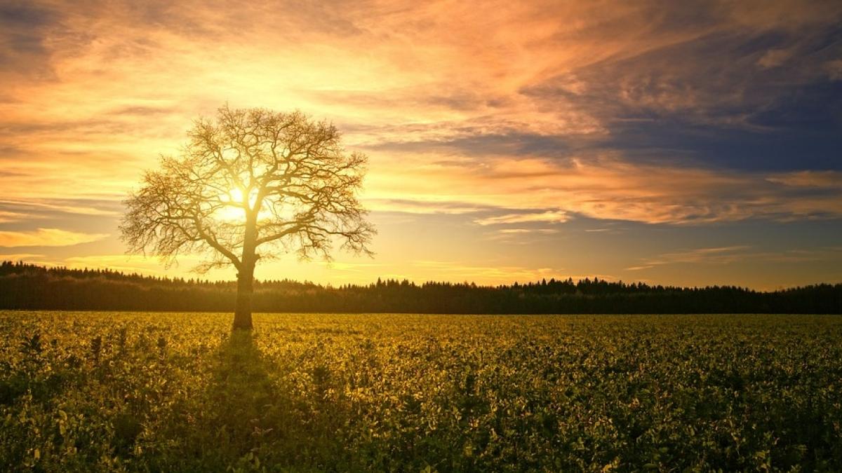 se strica vremea in aproape toata tara prognoza meteo pana sambata