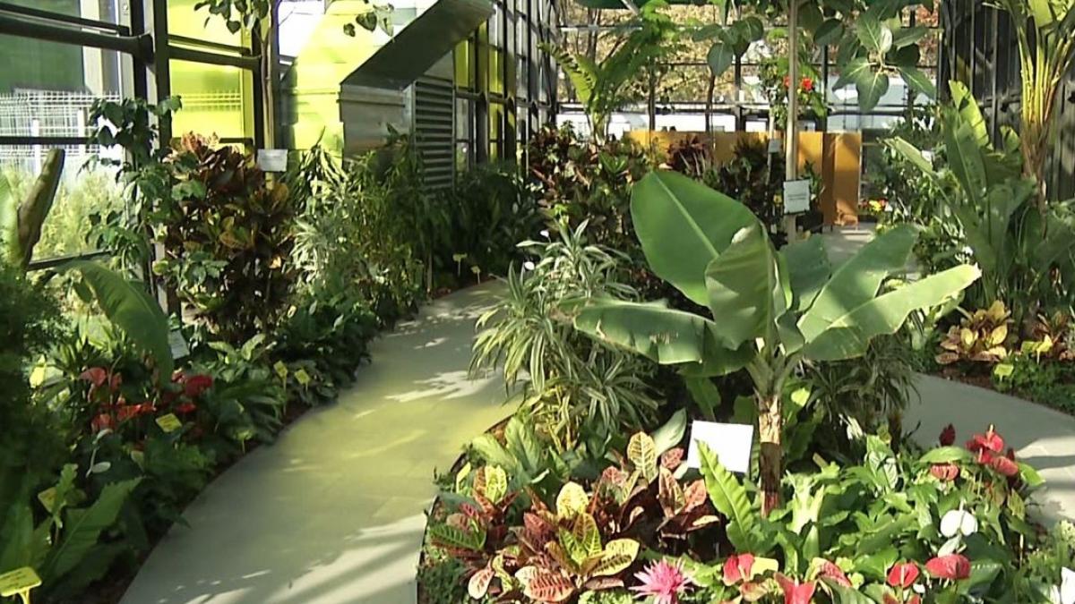 300 de specii de plante in parcul drumul taberei