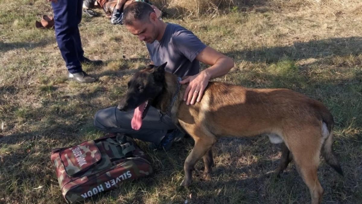 axi cainele politist care a salvat viata unui batran din arges omul indurase o noapte intreaga in