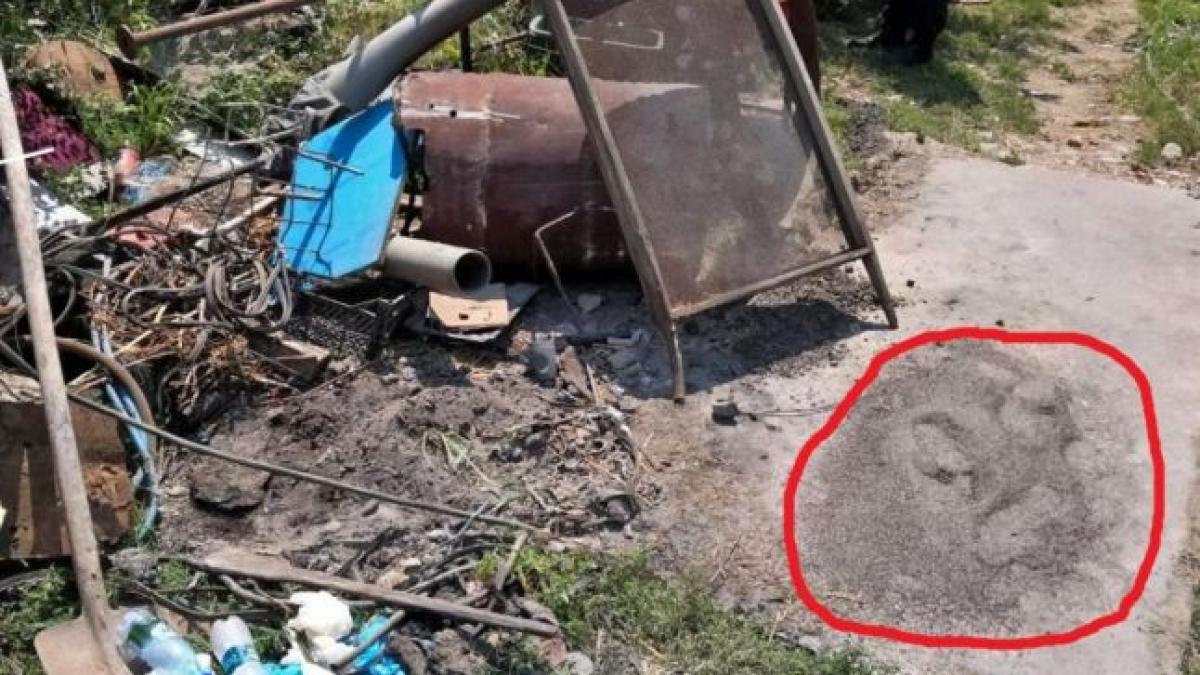 cum a fost calcata in picioare cenusa alexandrei imaginile revoltatoare oferite de anchetatori