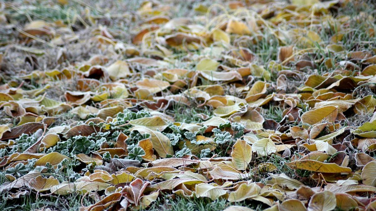 romania traversata de o masa de aer arctic vremea se raceste treptat in urmatoarele zile