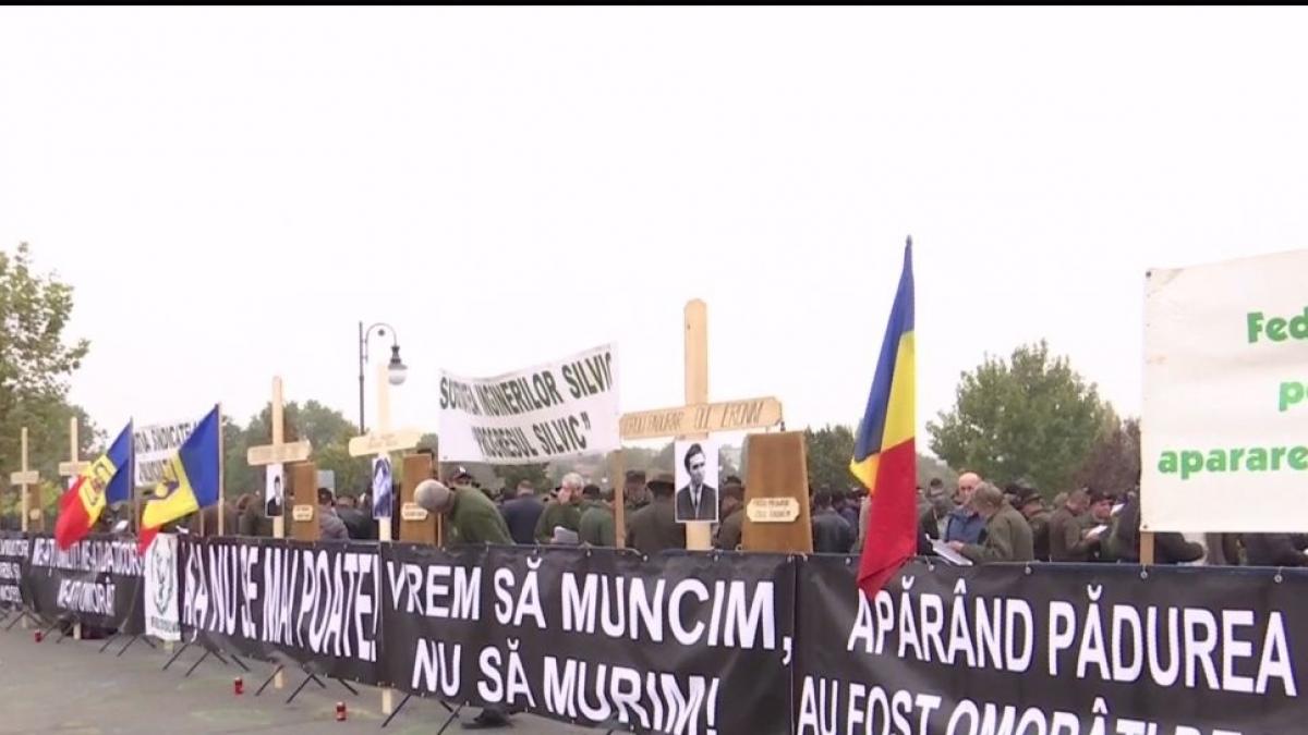 padurarii isi comemoreaza mortii la parlament
