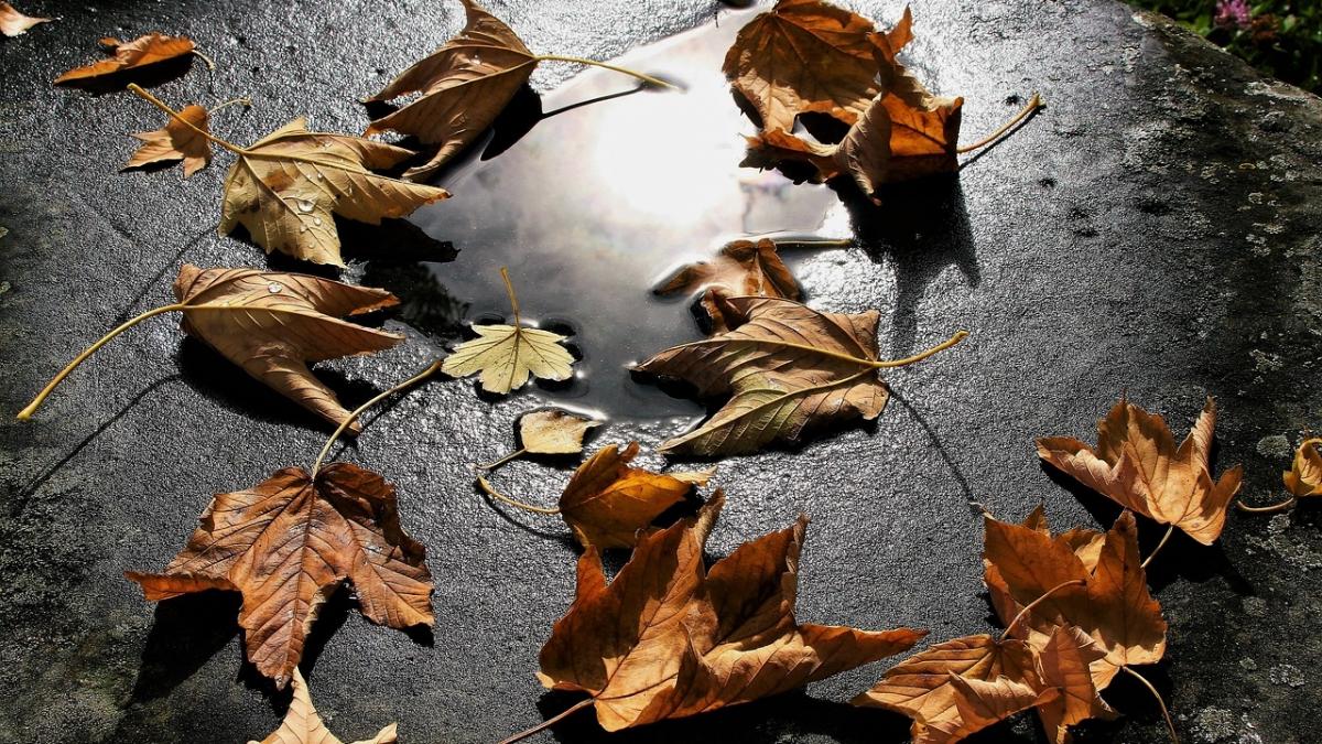 vremea va deveni deosebit de rece prognoza meteo pentru zilele urmatoare