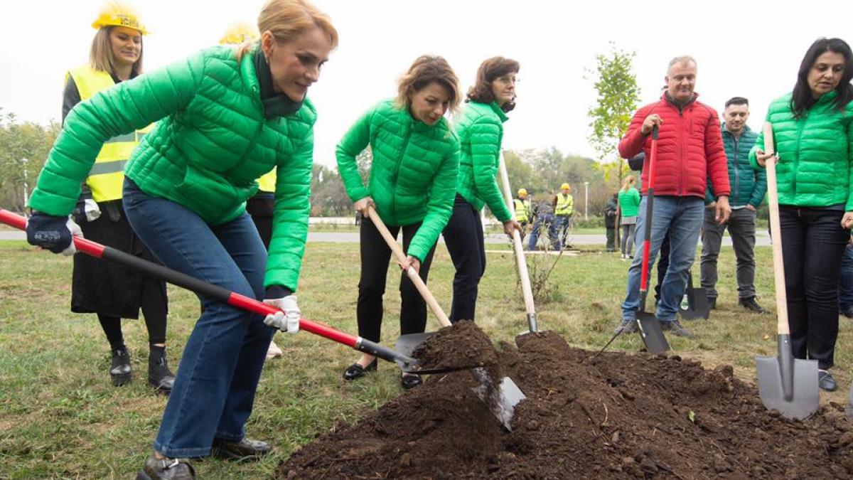 gabriela firea prezenta la plantarea a 560 de copaci in bucuresti