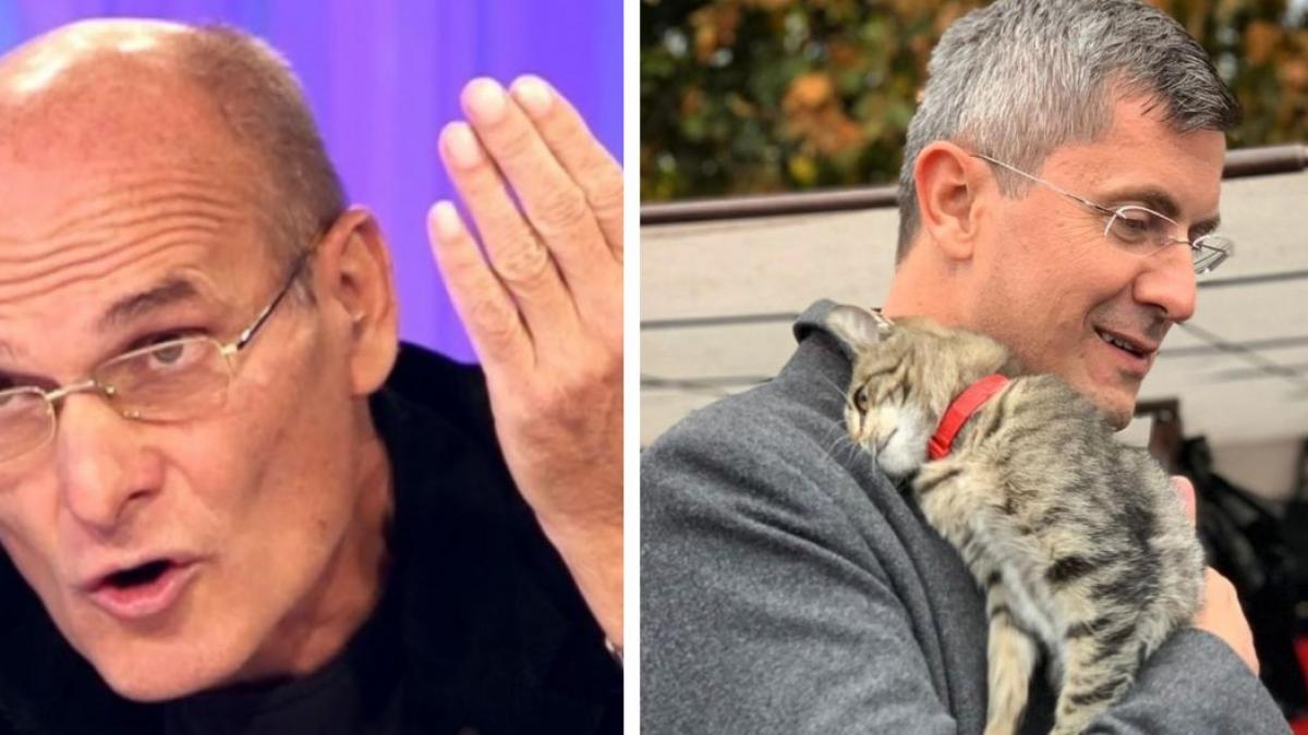 cristian tudor popescu critica fotografia cu dan barna cum sa vii cu pisica pe piept ce transmiti