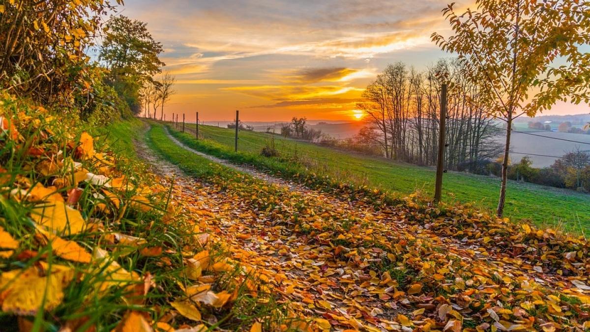 toamna tropicala aduce temperaturi record vremea se va mentine deosebit de calda