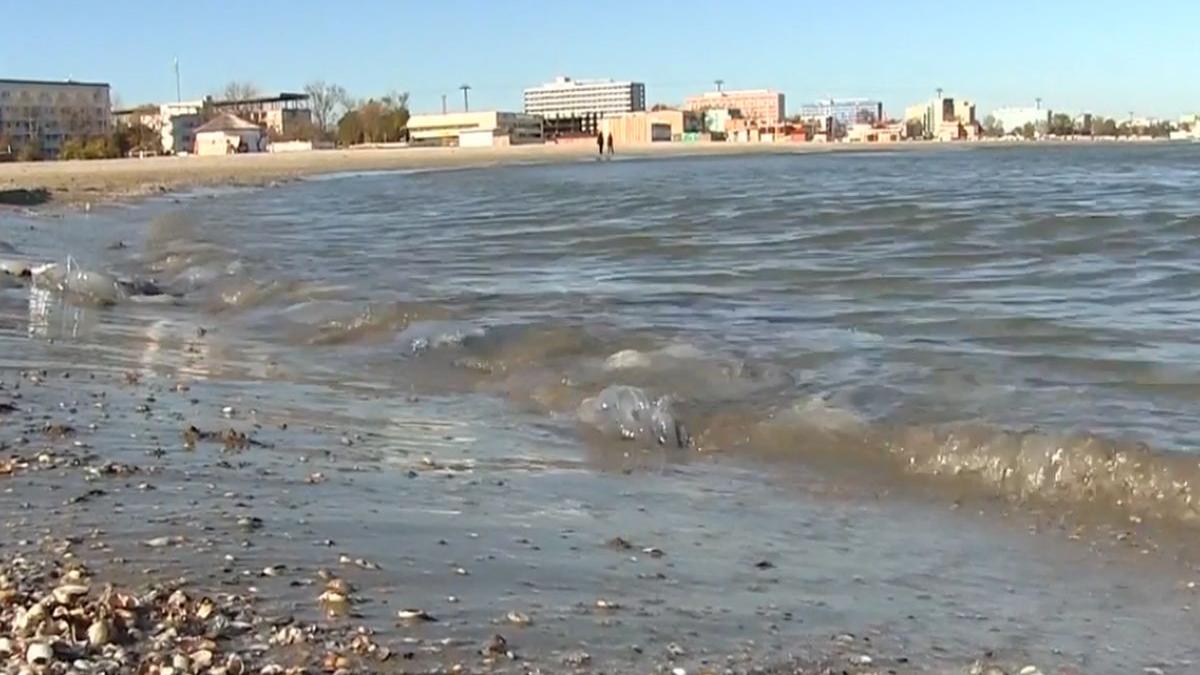 fenomene neobisnuite la malul marii e invazie de meduze albastre uriase video