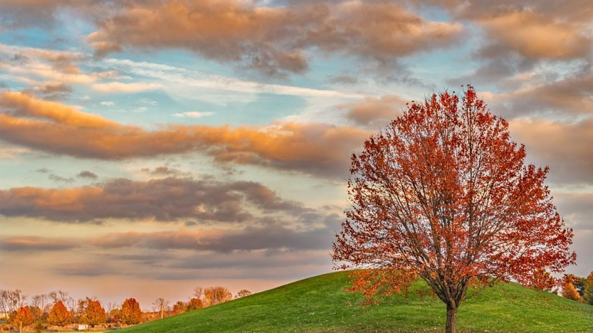 vreme neobisnuita in romania prognoza meteo pana sambata