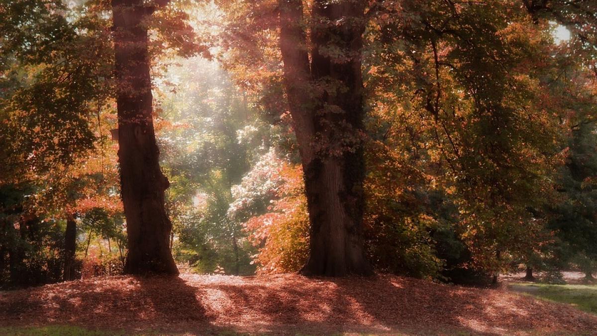 toamna bate record dupa record a fost cea mai calduroasa luna octombrie din ultimii 140 de ani
