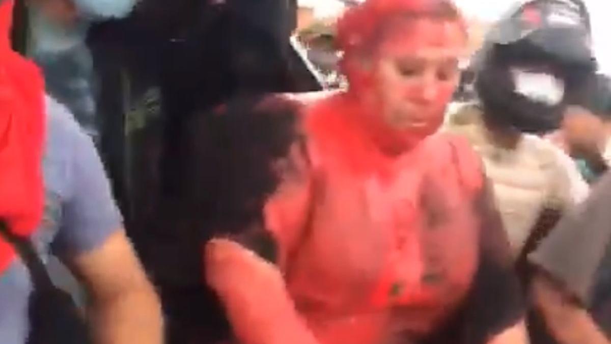 imagini halucinante primarita batuta tarata pe strazi si tunsa de protestatari video