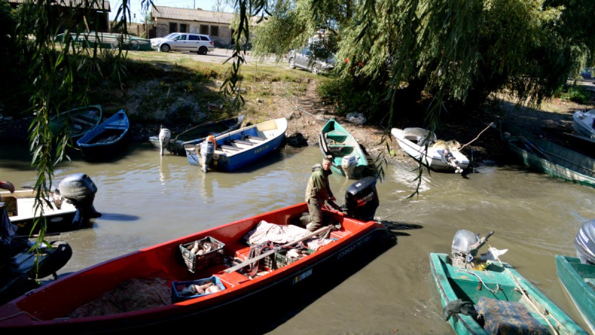 alegeri prezidentiale 2019 alegatorii din mai multe localitati din delta dunarii merg la vot cu