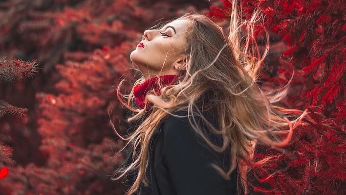 horoscop noiembrie 2019 previziuni complete cuplu dragoste bani si munca