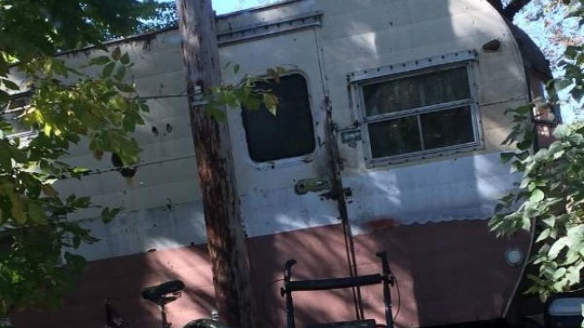 in fiecare sambata femeia ii livra pizza unui batran care traia intr o rulota intr o zi femeia a