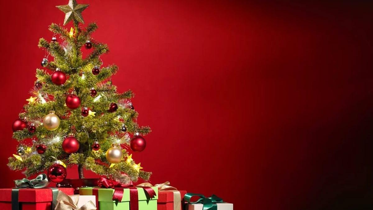 cate zile libere vor avea de fapt romanii de craciun si revelion